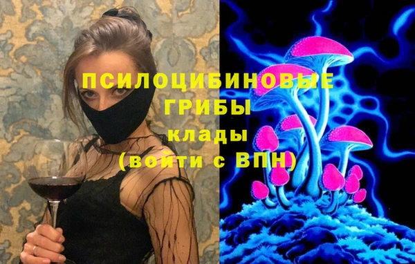 твердый Алзамай