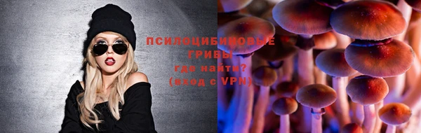 стаф Алексин
