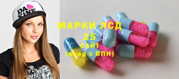 стаф Алексин