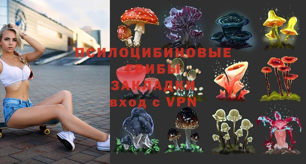 синтетический гашиш Алексеевка