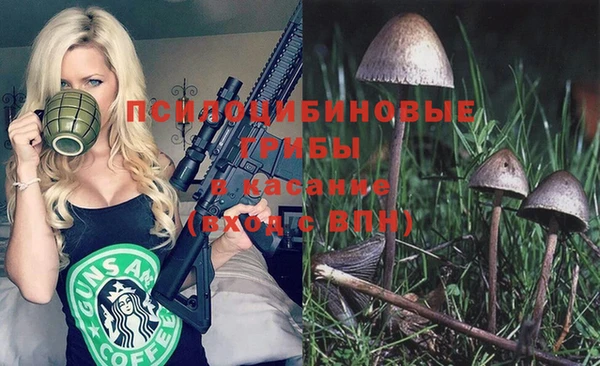 синтетический гашиш Алексеевка