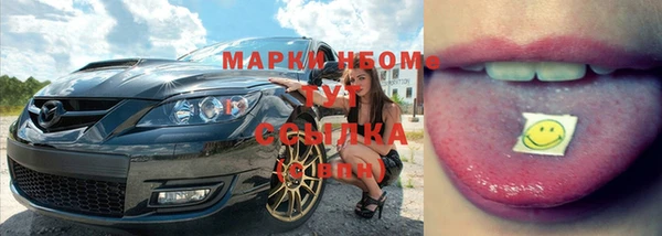 твердый Алзамай