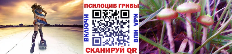 Псилоцибиновые грибы Psilocybe  kraken сайт  Изобильный 